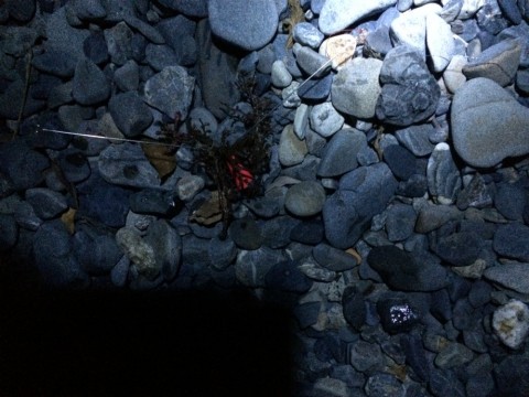 d77ngawatkwmprvhu34x_920_690-102d3223.jpg