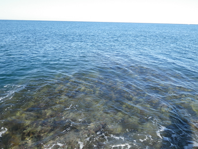 d7NRdBNG2x4bDLKmorLg-d42734f1.jpg