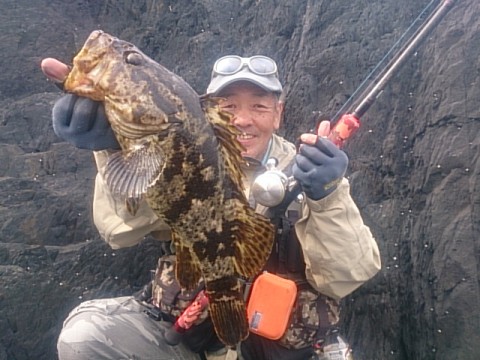 d7nncpj82k87m2pi5ncm_480_480-6689fb98.jpg