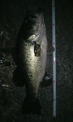 d7oifmtb8f8ik7bia6ko-2f4d9201.jpg
