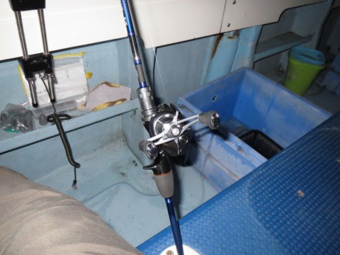 d7sbo6a5z79vbwfktsww_480_480-bc10008f.jpg