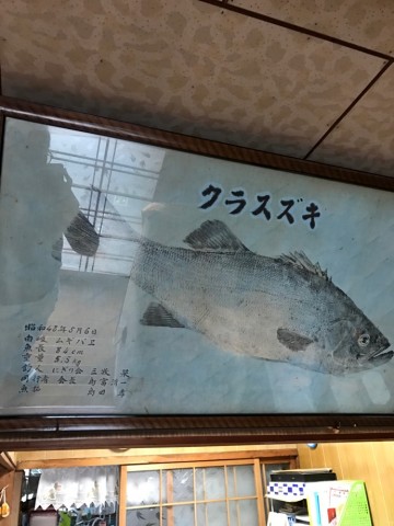 d88tm496u5fn6nrtmtjg_690_920-ada9d96c.jpg
