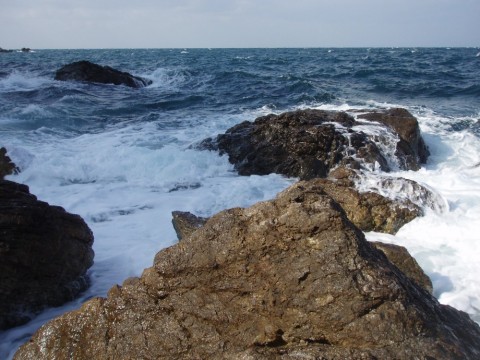 d8drjftuj2jnm8tthpzj_480_480-db610f0e.jpg