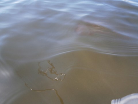 d8etw2tap5z9apenrm8r_920_690-204e8862.jpg
