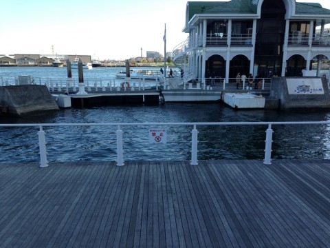 d8hd335oxn2pzth5o2e6_920_690-7c55fd27.jpg
