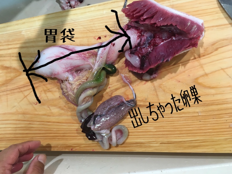 Tight Line タラのさばきかた