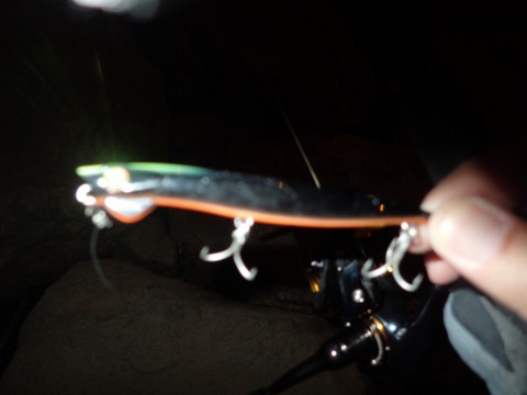 d8pj95ypgy8u4vbukztk_480_480-5cf586c4.jpg