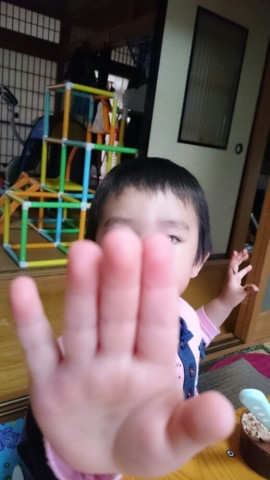 d8rtj66cr8atkryektfb_518_920-39c540a2.jpg