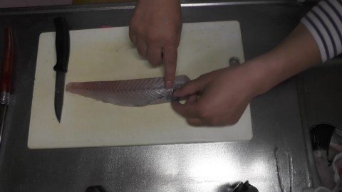 d8txxgcmvzjhzbxng6vz_480_480-9e0a6506.jpg