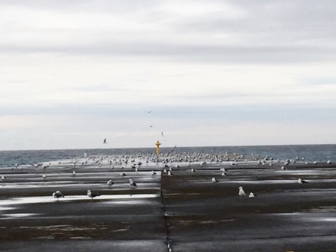 d8ubhcgu5x9oe4u8xjyj_920_690-d8116982.jpg