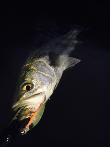 d8vviexxyygivttahi3e_690_920-6e0c3d79.jpg
