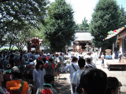 d97mrtnbpwdyvo56imnh_480_480-5d9d577f.jpg