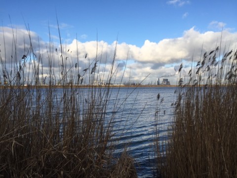 d9ei7kveauuek4k5hvry_480_480-33f078c5.jpg