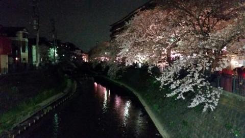 daakw5r28g5hehg4jpy8_920_518-195852c1.jpg