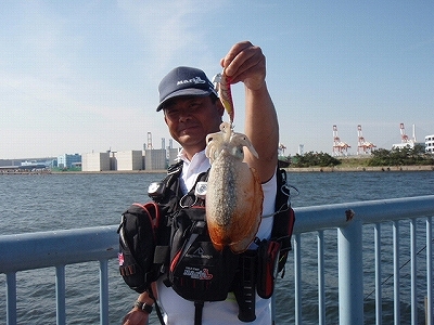 dabky7i63982nribn4jj-5b8e85a3.jpg