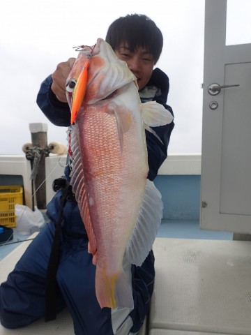 daoj88dwba3niufo7rot_480_480-f078d6f8.jpg