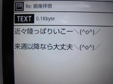 daoyjcrotp8rrwnsepws_480_480-72c8af2a.jpg