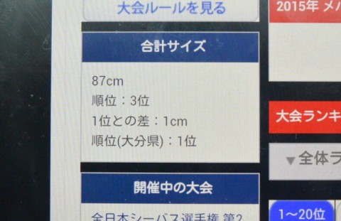 db3fiw7dsaix4o6tvbtu_480_480-9a104d10.jpg