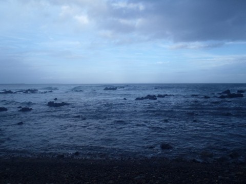 dbw4vpfvoyacracgcsr3_480_480-e316b98d.jpg