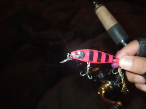 dbx2pvd42w2ug8rst8ow_480_480-2c7fcc9a.jpg