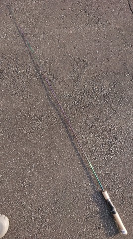 dcjj28v9vnru2mi7735g_480_480-57f1e7ee.jpg