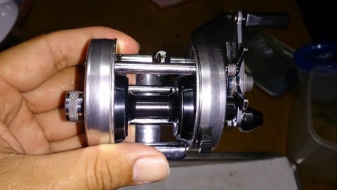 dcjzuzs6ff3ccxfi7w5p_480_480-c795c1f5.jpg