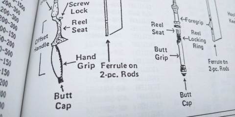 dcmxbx63medph462fv47_480_480-ecfe5a0e.jpg