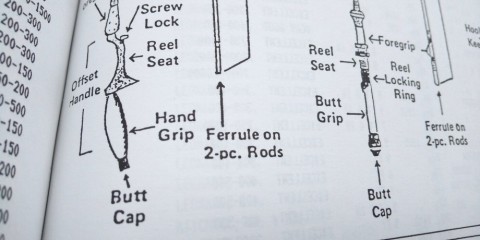 dcmxbx63medph462fv47_480_480-ecfe5a0e.jpg