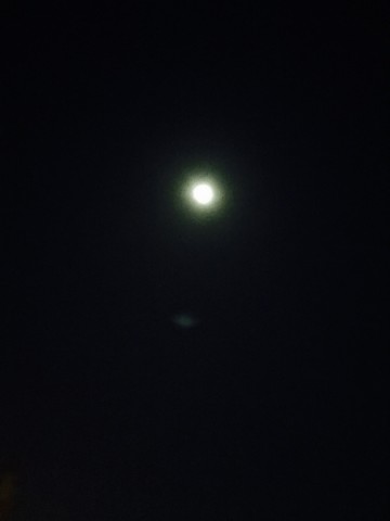 dcnbhazirv3poytgdghf_690_920-2288c2b5.jpg