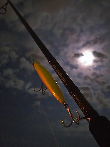 kosuke110F