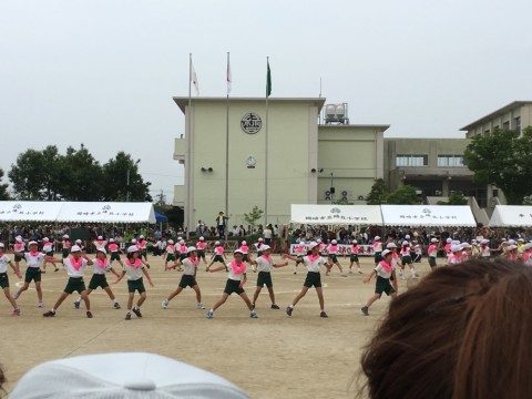 ddbjurse2b9jf4bc2i9c_920_690-0335e022.jpg