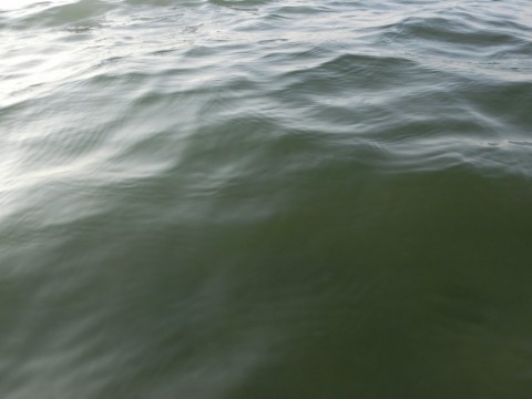 ddhb8ijj3un8x5irpbdx_480_480-0bf78aba.jpg