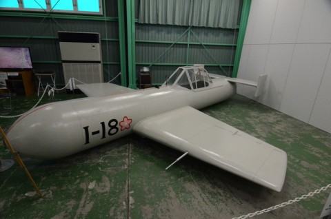 ddkr5o637komupwaceuo_480_480-4d98e540.jpg