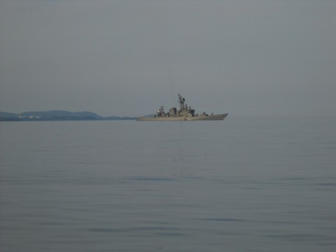 ddoujapwa48wp49iaf2i_480_480-77c983d9.jpg