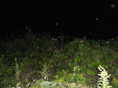 ddowxf4n5eog4o5ahcu2_920_690-644b4c8b.jpg
