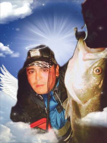 ddxvuf2dsjjitkadrtn6_480_480-c76774b9.jpg
