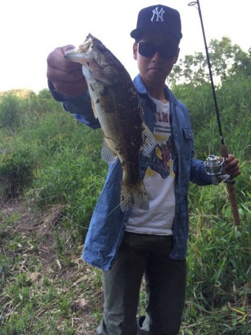 debn6pdgmcs9g3tj45ae_690_920-f6774165.jpg