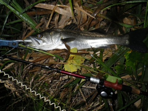 deh94oe6epuc9wzcwkpf_480_480-9012f040.jpg