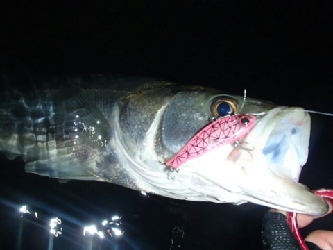 dejjtcudcg8jtmgwury3_640_480-e134f682.jpg