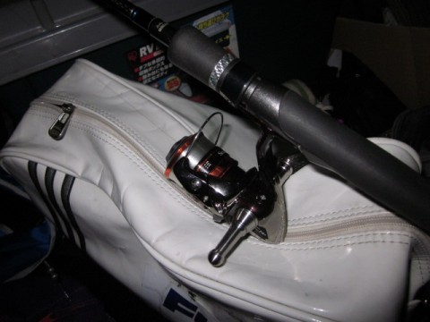 desa846xaenv4gaztyb7_480_480-1c05450c.jpg