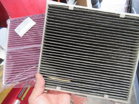 dezgs3bup6oxmv2mwri6_480_480-26a2453a.jpg