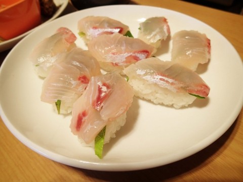 df69jhwd3rdn5f6wfdv7_480_480-fc118b0b.jpg