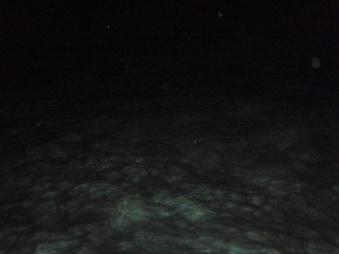 dfd8hJpcvYLXByPLLZCV_480_480-442c9a2a.jpg