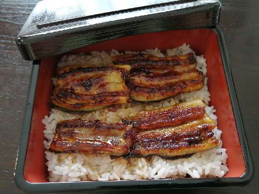 三重県シーバスじゃー なる うなぎ釣りで9匹ゲット 三重県シーバスじゃー なる うなぎ釣りで9匹ゲット