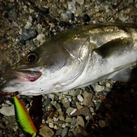 dfj38vf9tkycwo9y23sk_920_920-e5437926.jpg