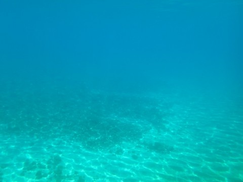 dfkvjwhsau3okn4yc2b6_480_480-6cc6b51a.jpg