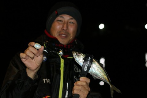 dfujpn94fhefebsr7zvb_480_480-080f3b9c.jpg