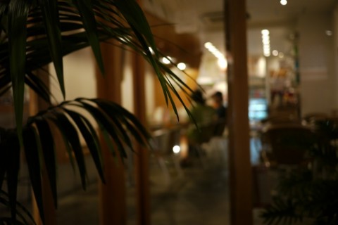 dg2kFJoS4MXaZ5MYzFvV_480_480-762d429a.jpg