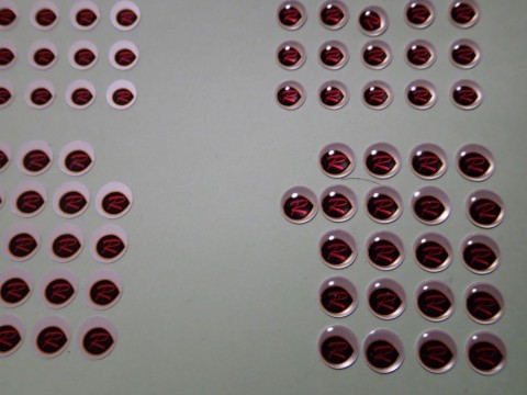 dg7tezpb4z5nvvg7uvhc_480_480-b044a2b5.jpg