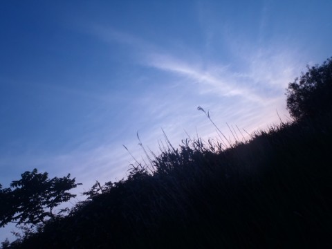 dgeo3hk3esv3c3g75mna_480_480-92e9235e.jpg